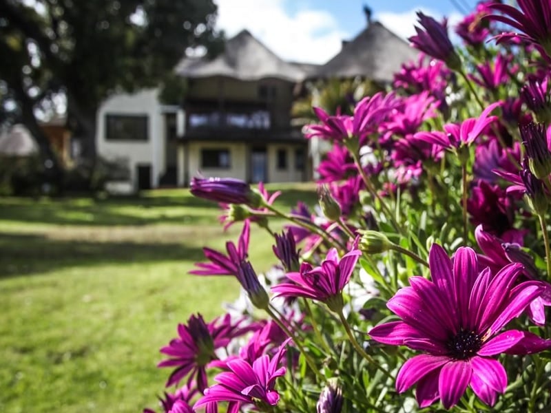 Winelands Villa Guesthouse & Cottages